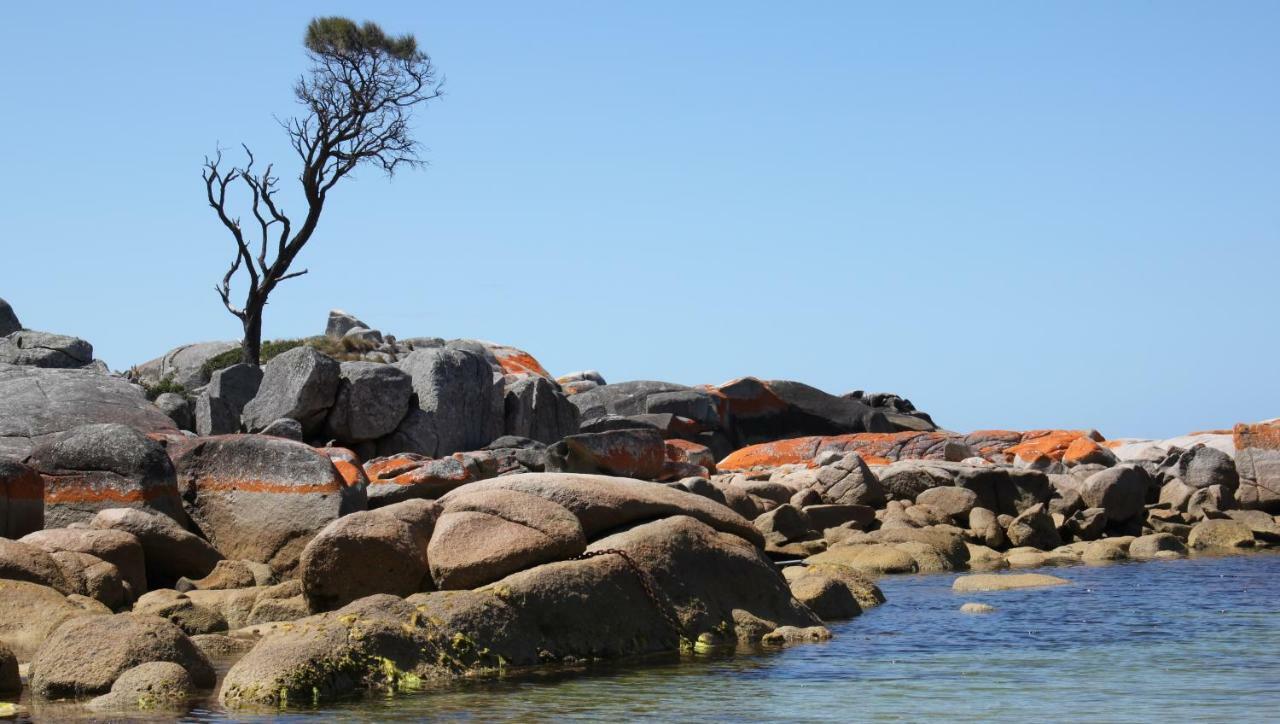 Bay Of Fires Seachange Ocean Frontage Binalong Bay Dış mekan fotoğraf